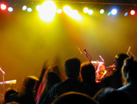 Cumplea&ntilde;os, despedidas, shows